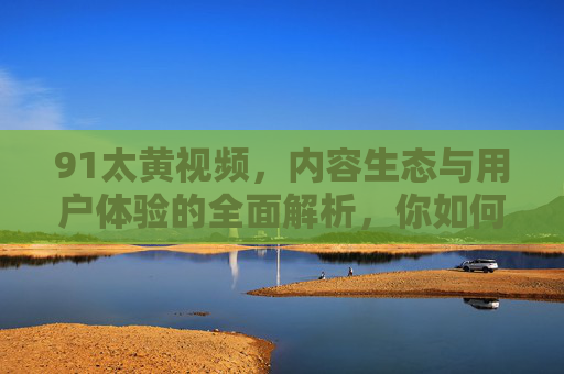 91太黄视频，内容生态与用户体验的全面解析，你如何利用它丰富娱乐生活？