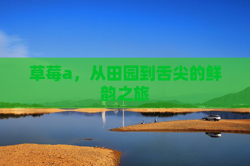 草莓a,从田园到舌尖的鲜韵之旅 草莓a,从田园到舌尖的鲜韵之旅