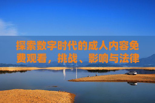 探索数字时代的成人内容免费观看，挑战、影响与法律边界