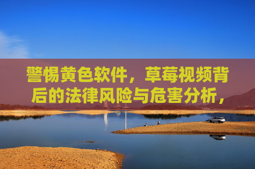 警惕黄色软件，草莓视频背后的法律风险与危害分析，警惕黄色软件草莓视频，法律风险与危害分析