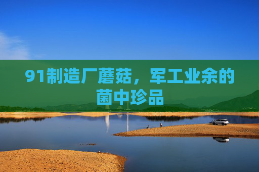 91制造厂蘑菇,军工业余的菌中珍品 91制造厂蘑菇,军工业余的菌中珍品