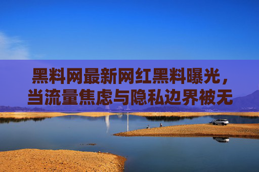 黑料网最新网红黑料曝光，当流量焦虑与隐私边界被无情撕扯，黑料网曝网红黑料，流量焦虑与隐私边界的撕扯