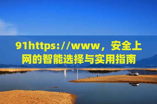91https://www，安全上网的智能选择与实用指南