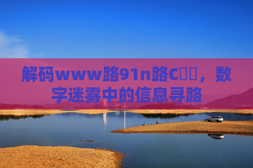解码www路91n路C銆噈,数字迷雾中的信息寻路 解码www路91n路C銆噈,数字迷雾中的信息寻路