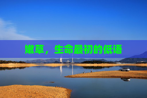 嫩草,生命最初的低语 嫩草,生命最初的低语
