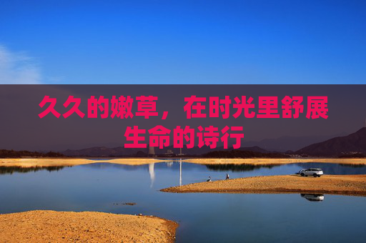 久久的嫩草,在时光里舒展生命的诗行 久久的嫩草,在时光里舒展生命的诗行