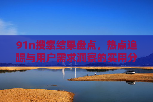 91n搜索结果盘点，热点追踪与用户需求洞察的实用分析