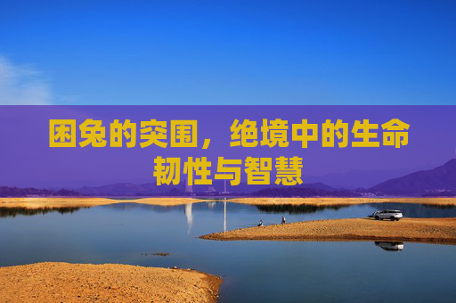 困兔的突围,绝境中的生命韧性与智慧 困兔的突围,绝境中的生命韧性与智慧