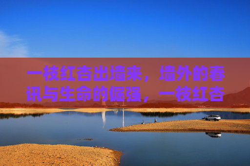 一枝红杏出墙来,墙外的春讯与生命的倔强,一枝红杏出墙,墙外的春讯与生命的倔强 一枝红杏出墙来,墙外的春讯与生命的倔强,一枝红杏出墙,墙外的春讯与生命的倔强