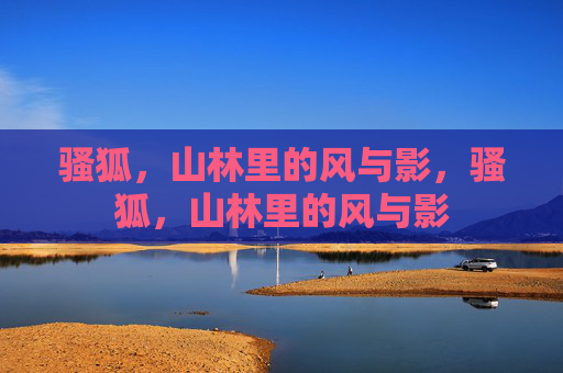 骚狐,山林里的风与影,骚狐,山林里的风与影 骚狐,山林里的风与影,骚狐,山林里的风与影