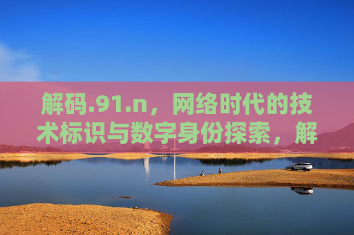 解码.91.n，网络时代的技术标识与数字身份探索，解码.91.n，网络时代的技术标识与数字身份探索