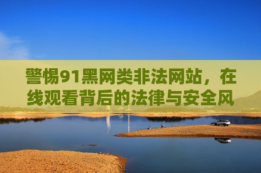 警惕91黑网类非法网站,在线观看背后的法律与安全风险解析 警惕91黑网类非法网站,在线观看背后的法律与安全风险解析