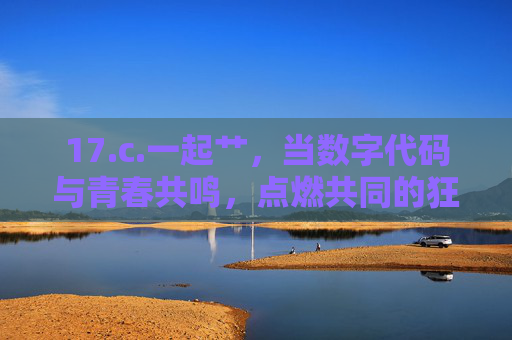 17.c.一起艹,当数字代码与青春共鸣,点燃共同的狂欢 17.c.一起艹,当数字代码与青春共鸣,点燃共同的狂欢
