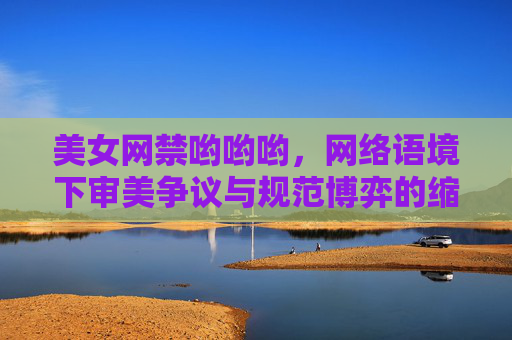 美女网禁哟哟哟，网络语境下审美争议与规范博弈的缩影，美女网禁哟哟哟，网络语境下审美争议与规范博弈的缩影