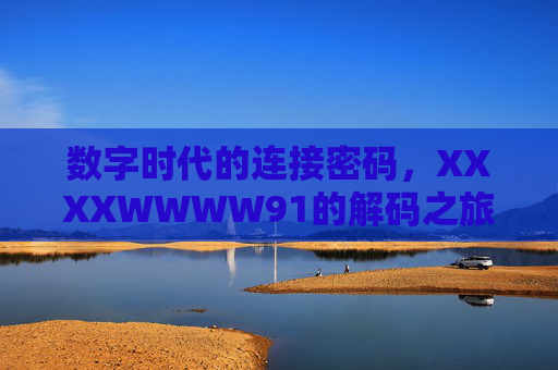 数字时代的连接密码，XXXXWWWW91的解码之旅，数字时代的连接密码，XXXXWWWW91的解码之旅