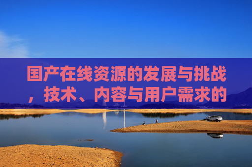 国产在线资源的发展与挑战,技术、内容与用户需求的融合 国产在线资源的发展与挑战,技术、内容与用户需求的融合