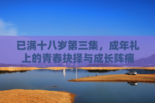 已满十八岁第三集，成年礼上的青春抉择与成长阵痛