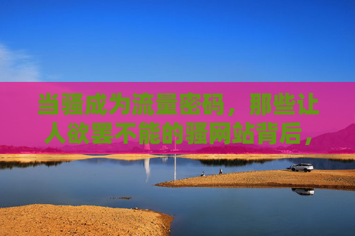 当骚成为流量密码,那些让人欲罢不能的骚网站背后,藏着怎样的互联网狂欢? 当骚成为流量密码,那些让人欲罢不能的骚网站背后,藏着怎样的互联网狂欢?