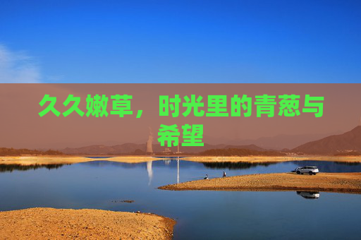 久久嫩草,时光里的青葱与希望 久久嫩草,时光里的青葱与希望
