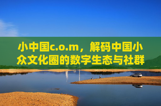 小中国c.o.m,解码中国小众文化圈的数字生态与社群联结 小中国c.o.m,解码中国小众文化圈的数字生态与社群联结