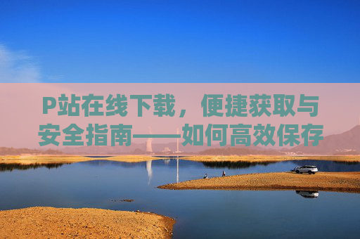 P站在线下载，便捷获取与安全指南——如何高效保存你的Pixiv收藏，P站在线下载，便捷获取与安全指南——如何高效保存你的Pixiv收藏