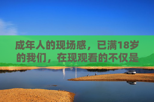 成年人的现场感,已满18岁的我们,在现观看的不仅是内容,更是生活 成年人的现场感,已满18岁的我们,在现观看的不仅是内容,更是生活