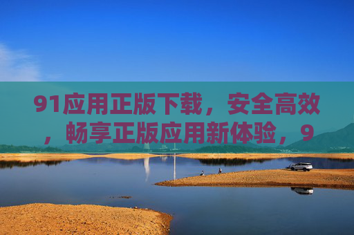 91应用正版下载，安全高效，畅享正版应用新体验，91应用正版下载，安全高效，畅享正版应用新体验
