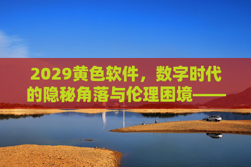 2029黄色软件，数字时代的隐秘角落与伦理困境——从技术革新到社会反思，2029黄色软件，数字时代的隐秘角落与伦理困境——从技术革新到社会反思