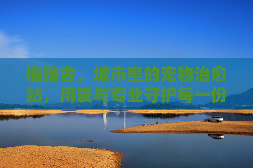 撸撸舍，城市里的宠物治愈站，用爱与专业守护每一份毛茸茸的信赖