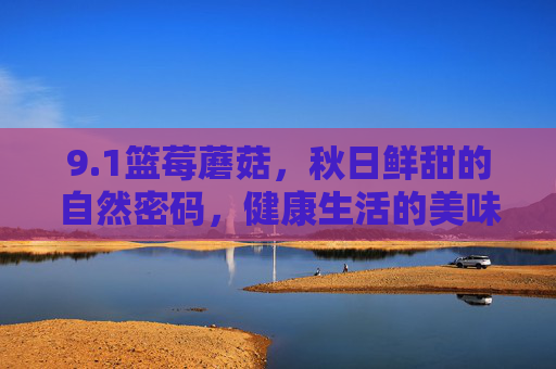 9.1篮莓蘑菇，秋日鲜甜的自然密码，健康生活的美味选择，1篮莓蘑菇，秋日鲜甜的自然密码，健康生活的美味选择