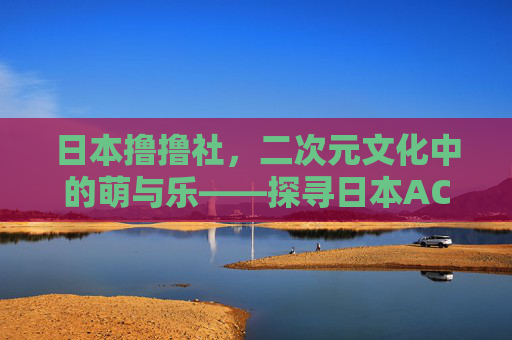日本撸撸社，二次元文化中的萌与乐——探寻日本ACG爱好者的社群生活