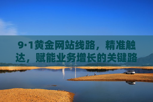 9·1黄金网站线路,精准触达,赋能业务增长的关键路径 9·1黄金网站线路,精准触达,赋能业务增长的关键路径