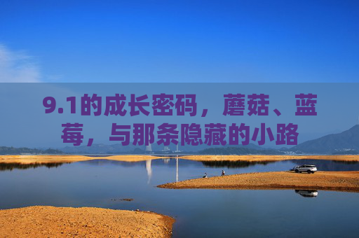 9.1的成长密码,蘑菇、蓝莓,与那条隐藏的小路 9.1的成长密码,蘑菇、蓝莓,与那条隐藏的小路