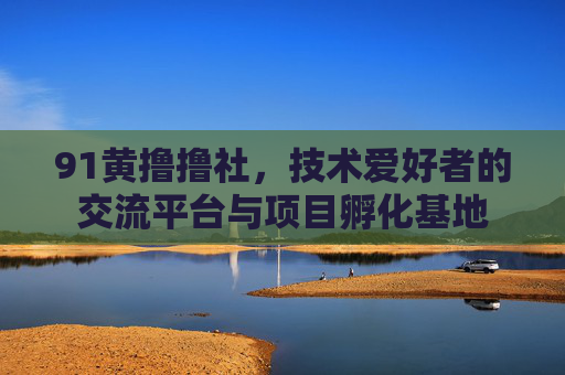 91黄撸撸社,技术爱好者的交流平台与项目孵化基地 91黄撸撸社,技术爱好者的交流平台与项目孵化基地