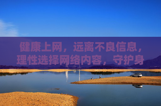健康上网，远离不良信息，理性选择网络内容，守护身心安全