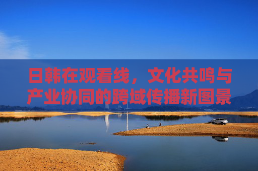 日韩在观看线，文化共鸣与产业协同的跨域传播新图景，日韩在观看线，文化共鸣与产业协同的跨域传播新图景
