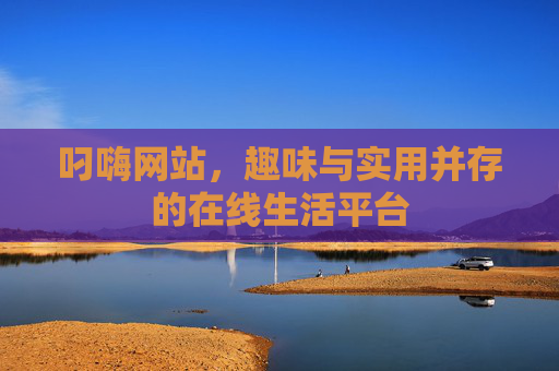 叼嗨网站，趣味与实用并存的在线生活平台