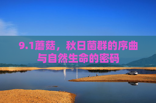 9.1蘑菇,秋日菌群的序曲与自然生命的密码 9.1蘑菇,秋日菌群的序曲与自然生命的密码