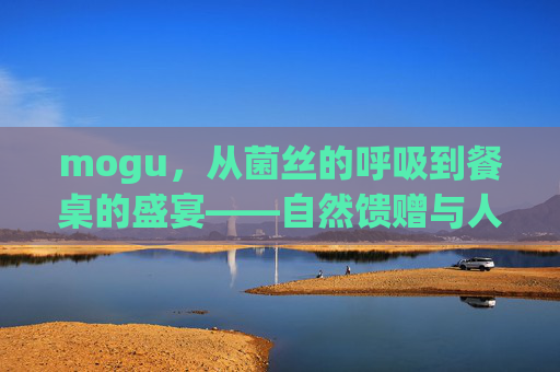 mogu,从菌丝的呼吸到餐桌的盛宴——自然馈赠与人类智慧的对话 mogu,从菌丝的呼吸到餐桌的盛宴——自然馈赠与人类智慧的对话