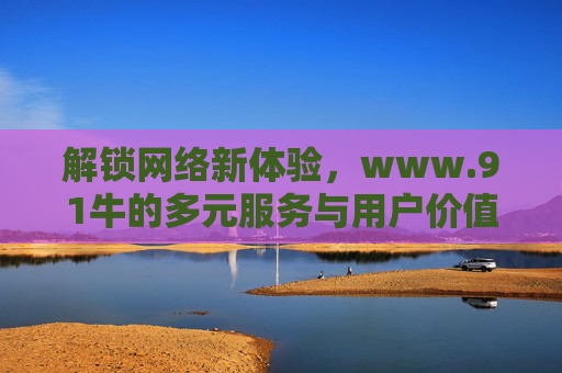 解锁网络新体验,www.91牛的多元服务与用户价值 解锁网络新体验,www.91牛的多元服务与用户价值