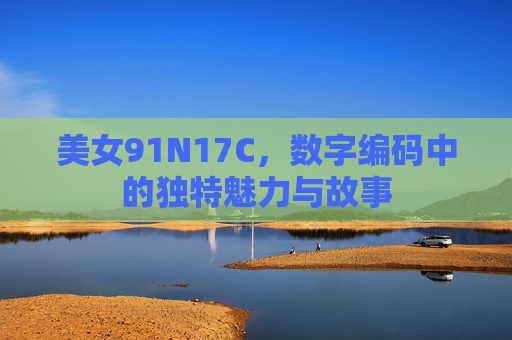 美女91N17C,数字编码中的独特魅力与故事 美女91N17C,数字编码中的独特魅力与故事