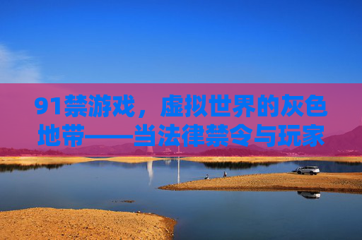 91禁游戏，虚拟世界的灰色地带——当法律禁令与玩家体验碰撞，那些被遗忘的数字记忆