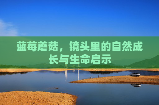 蓝莓蘑菇,镜头里的自然成长与生命启示 蓝莓蘑菇,镜头里的自然成长与生命启示
