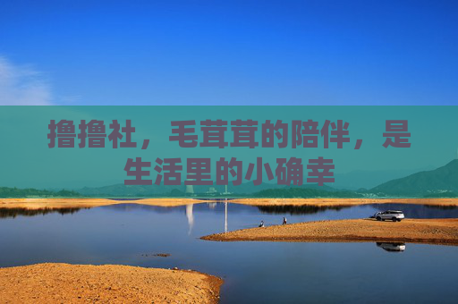 撸撸社,毛茸茸的陪伴,是生活里的小确幸 撸撸社,毛茸茸的陪伴,是生活里的小确幸