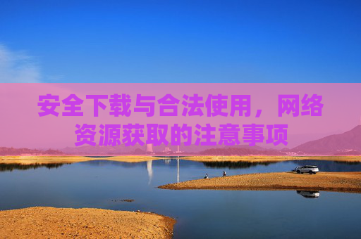 安全下载与合法使用,网络资源获取的注意事项 安全下载与合法使用,网络资源获取的注意事项