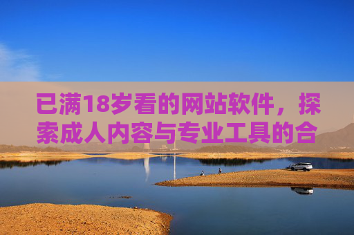 已满18岁看的网站软件，探索成人内容与专业工具的合规使用指南