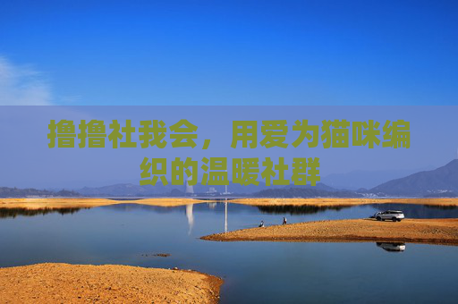 撸撸社我会,用爱为猫咪编织的温暖社群 撸撸社我会,用爱为猫咪编织的温暖社群