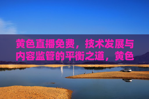 黄色直播免费,技术发展与内容监管的平衡之道,黄色直播免费,技术发展与内容监管的平衡之道 黄色直播免费,技术发展与内容监管的平衡之道,黄色直播免费,技术发展与内容监管的平衡之道