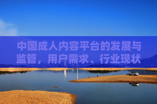中国成人内容平台的发展与监管,用户需求、行业现状及未来趋势 中国成人内容平台的发展与监管,用户需求、行业现状及未来趋势
