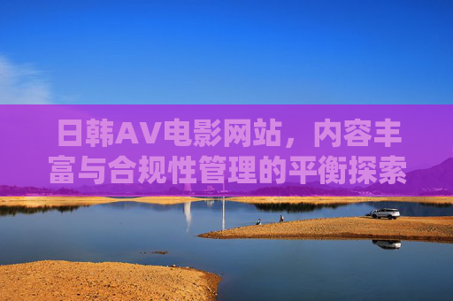 日韩AV电影网站,内容丰富与合规性管理的平衡探索 日韩AV电影网站,内容丰富与合规性管理的平衡探索